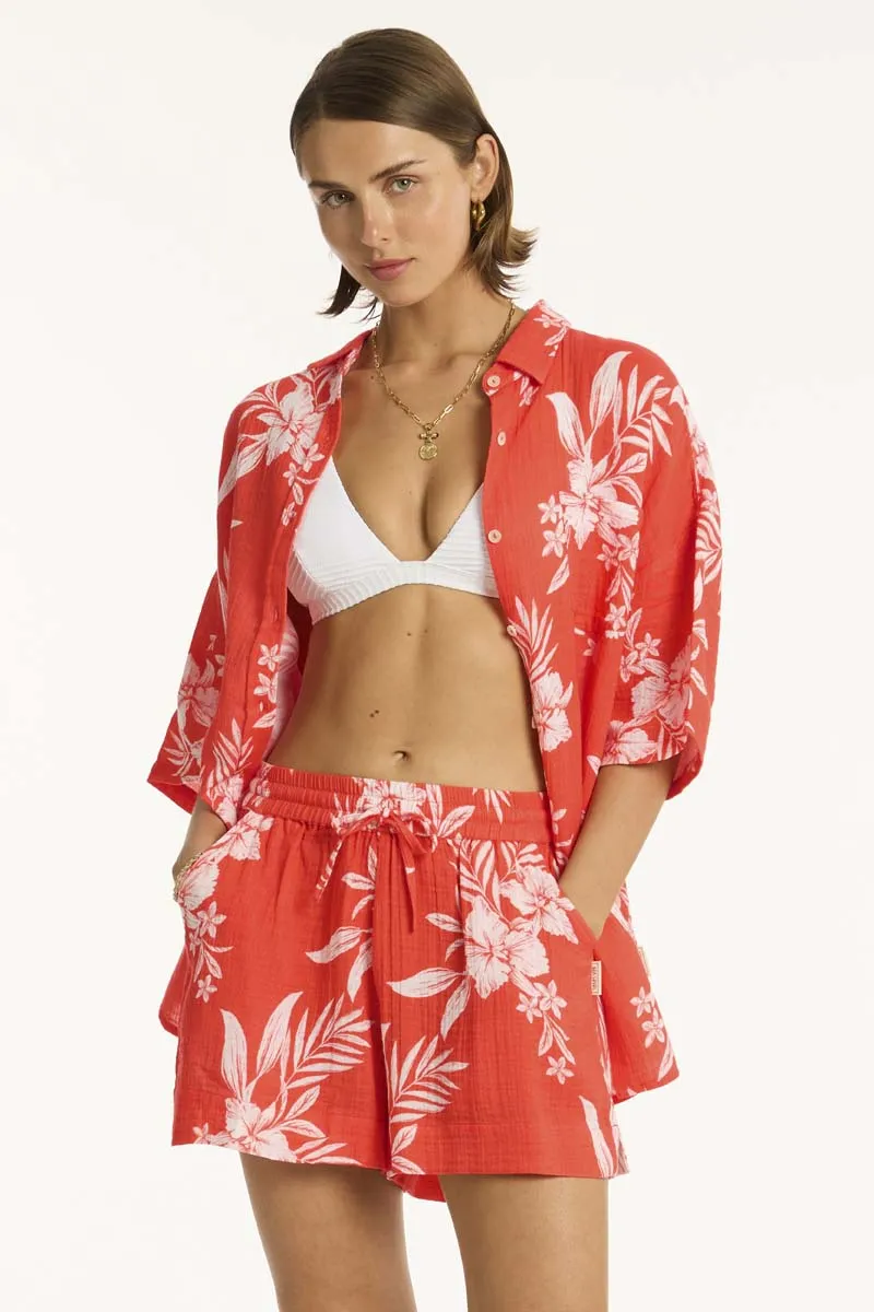 Aloha Shirt