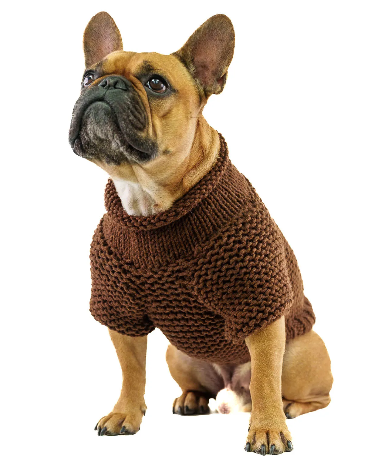 Pet Sweater