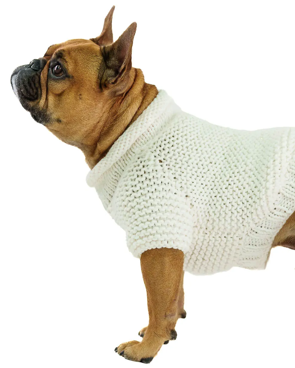 Pet Sweater